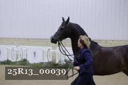 25R13_00039 thumbnail