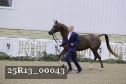 25R13_00043 thumbnail