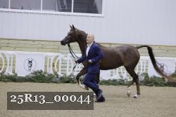 25R13_00044 thumbnail