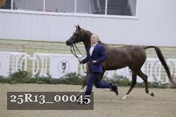 25R13_00045 thumbnail