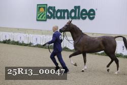 25R13_00047 thumbnail
