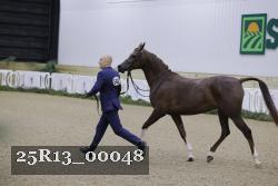 25R13_00048 thumbnail