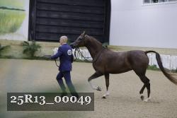 25R13_00049 thumbnail
