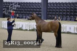 25R13_00051 thumbnail
