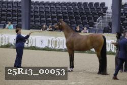 25R13_00053 thumbnail