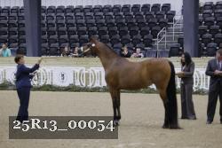 25R13_00054 thumbnail