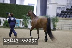 25R13_00057 thumbnail