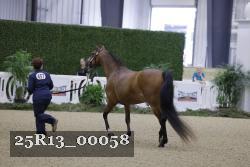 25R13_00058 thumbnail