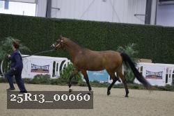 25R13_00060 thumbnail