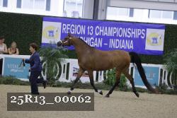 25R13_00062 thumbnail