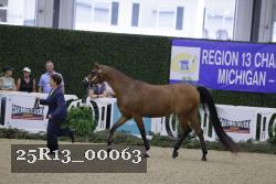 25R13_00063 thumbnail