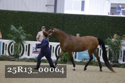 25R13_00064 thumbnail