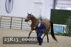 25R13_00066 thumbnail