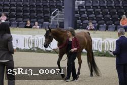 25R13_00071 thumbnail