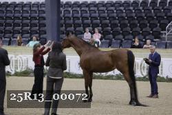 25R13_00072 thumbnail