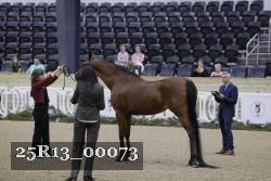 25R13_00073 thumbnail