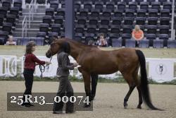 25R13_00074 thumbnail
