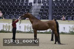 25R13_00076 thumbnail