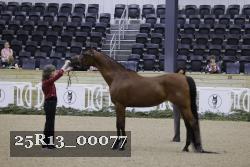 25R13_00077 thumbnail