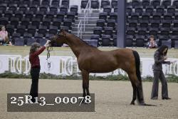 25R13_00078 thumbnail