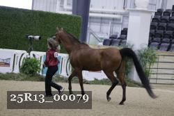 25R13_00079 thumbnail