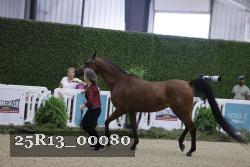 25R13_00080 thumbnail