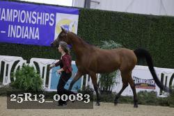 25R13_00083 thumbnail