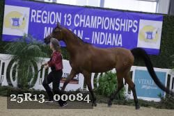 25R13_00084 thumbnail