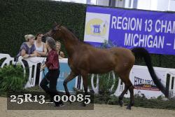 25R13_00085 thumbnail