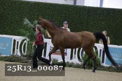 25R13_00087 thumbnail