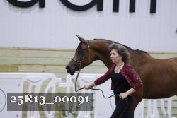 25R13_00091 thumbnail