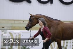 25R13_00092 thumbnail