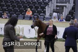 25R13_00093 thumbnail