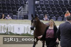 25R13_00094 thumbnail