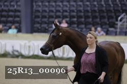 25R13_00096 thumbnail