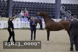 25R13_00097 thumbnail