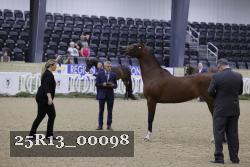 25R13_00098 thumbnail
