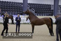 25R13_00099 thumbnail