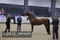 25R13_00100 thumbnail