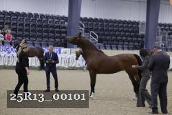25R13_00101 thumbnail