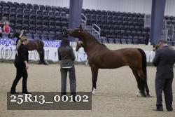 25R13_00102 thumbnail