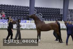 25R13_00104 thumbnail