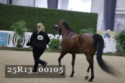 25R13_00105 thumbnail