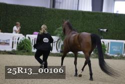 25R13_00106 thumbnail