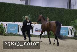 25R13_00107 thumbnail