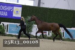 25R13_00108 thumbnail
