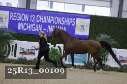 25R13_00109 thumbnail