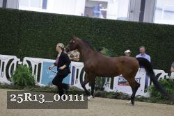 25R13_00111 thumbnail