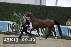 25R13_00112 thumbnail