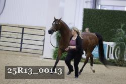 25R13_00113 thumbnail